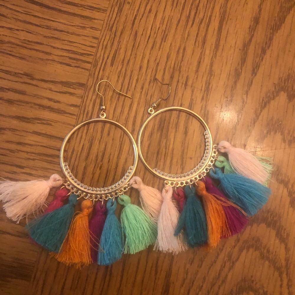 Rainbow Tassel Earring